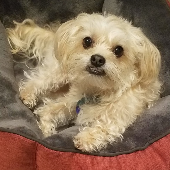 Meet your Posher, Aileen - Picture 4 of 9